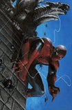 7 Ate 9 Comics Comic THE AMAZING SPIDER-MAN #49/850 Gabriele Dell'Otto Variant Cover Options