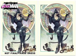ABSOLUTE CATWOMAN #1 Ivan Tao Trade / Virgin FOIL Variant Cover Set LTD To ONLY 800 Sets - 7 Ate 9 Comics