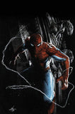 7 Ate 9 Comics Comic Virgin Variant Cover AMAZING SPIDER-MAN #48 Gabriele Dell'Otto Variant Cover Options
