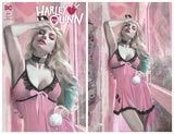 HARLEY QUINN #29 Natali Sanders Variant Cover Set LTD To ONLY 1000 Sets